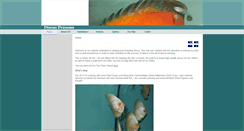 Desktop Screenshot of discus-pruneau.com